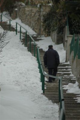 @SRK Botnica
