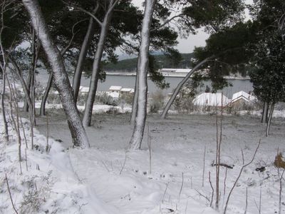 18.2.2009. by Ivan Tomicic
